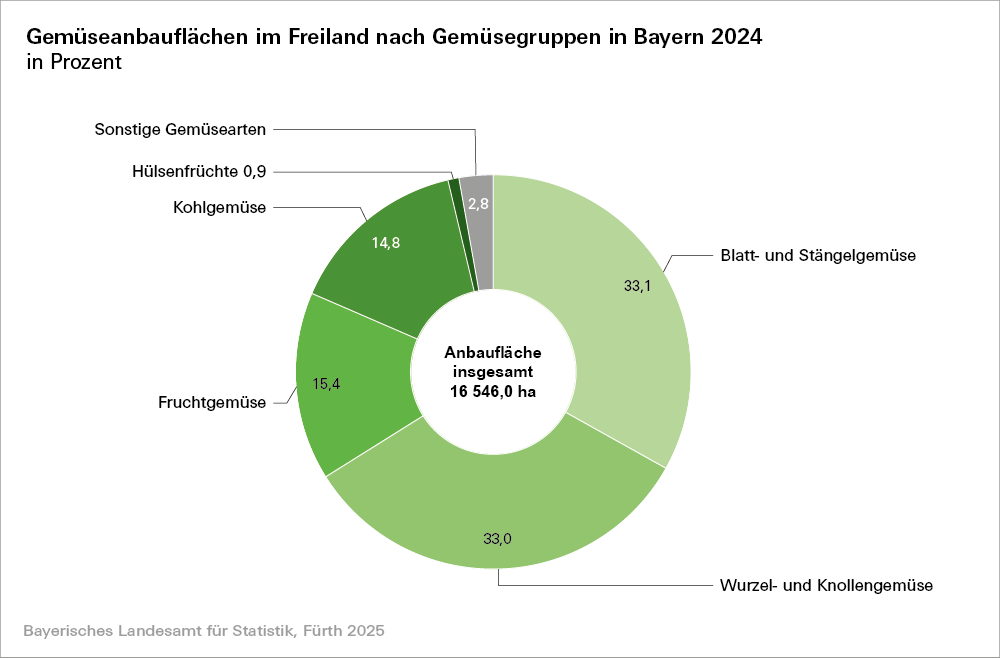 Hier befindet sich eine grafische Darstellung zu Gemüseanbauflächen im Freiland nach Gemüsegruppen in Bayern 2024 Hier befindet sich eine grafische Darstellung zu Gemüseanbauflächen im Freiland nach Gemüsegruppen in Bayern 2024